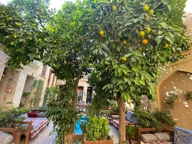 هتل ماه منیر شیراز - بندانگشتی 3